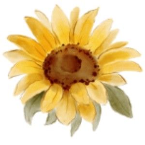 Meet your Posher, Desteni